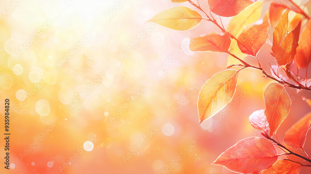 autumn background with leaves autumn background with leaves