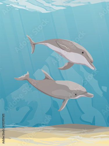 A pair of Common bottlenose dolphin swim in warm sea water. Realistic vector vertical underwater landscape