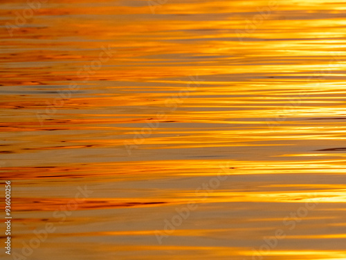 Golden reflections in the waters of the Amazon at sunset east of Anamã photo