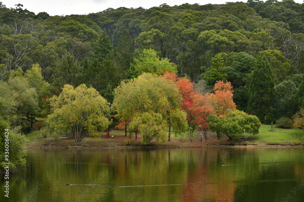 Fototapeta premium mount loft botannical gardens autumn