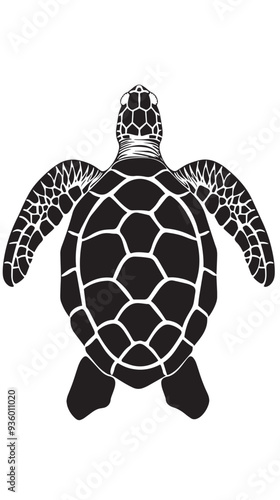 Turtle marine animal icon. Sea turtle silhouette. vector illustration

