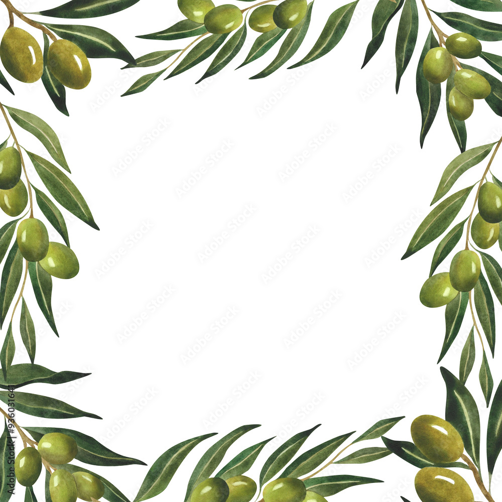 Frame with watercolor olive branches Plant background for olive oil ...