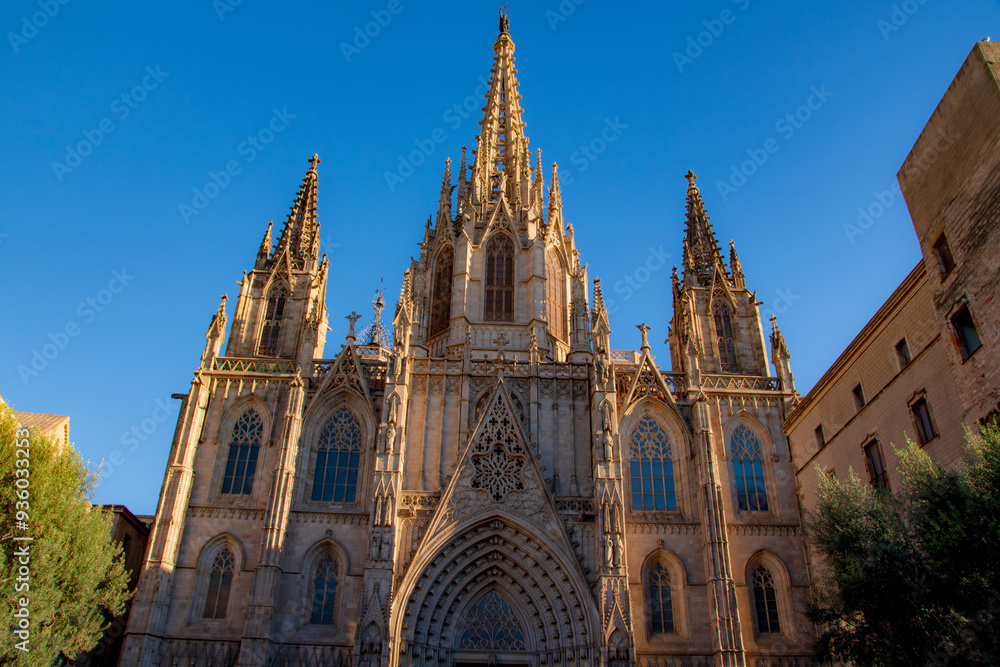 Fototapeta premium cathedral in barcelona