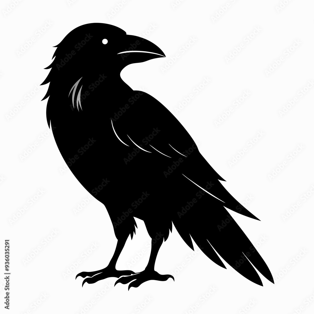 Obraz premium Vector, isolated black silhouette bird, crow collection