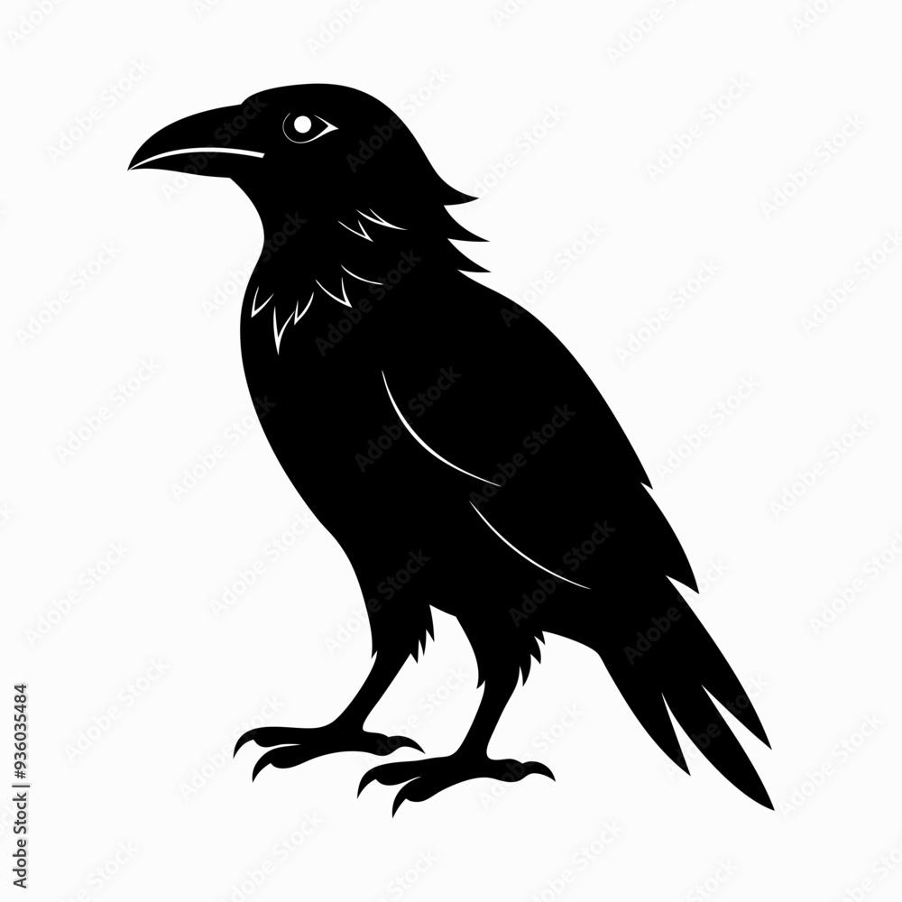 Fototapeta premium Vector, isolated black silhouette bird, crow collection