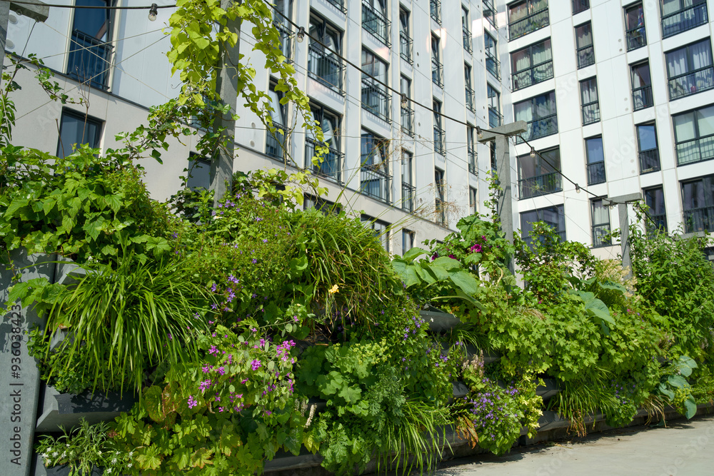 Vertical gardening with a green wall for climate adaptation. Vertical gardening with a green wall for climate adaptation.