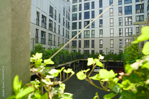 Vertical gardening with a green wall for climate adaptation. photo