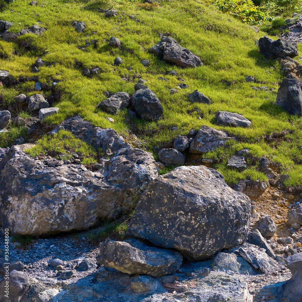 Mountain landscape with green grass and rocks in a sunny day Mountain landscape with green grass and rocks in a sunny day