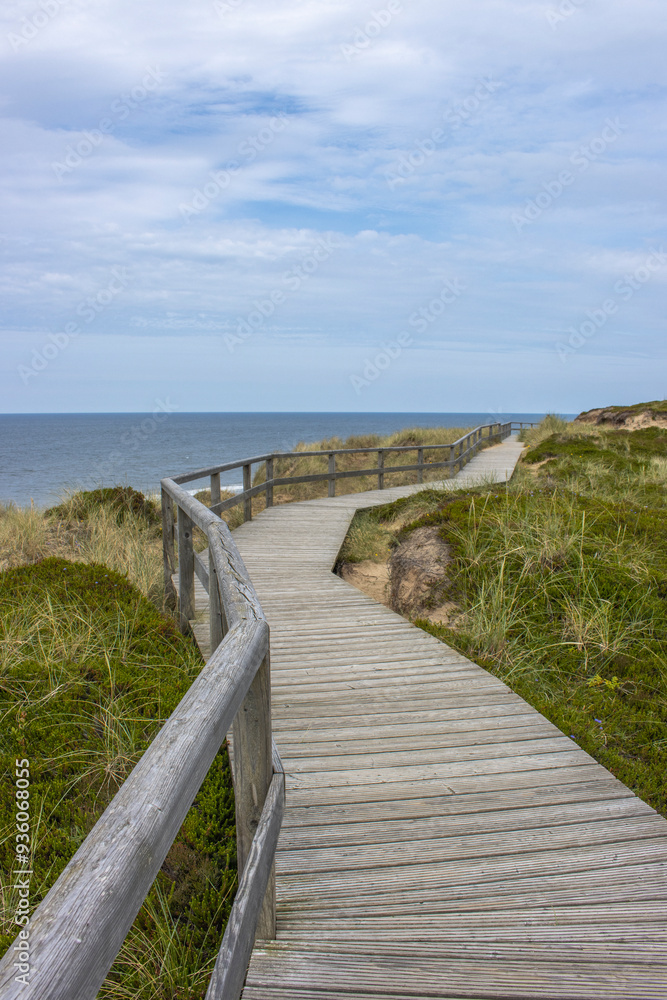 Fototapeta premium Dünenwanderweg in Wenningstedt auf Sylt