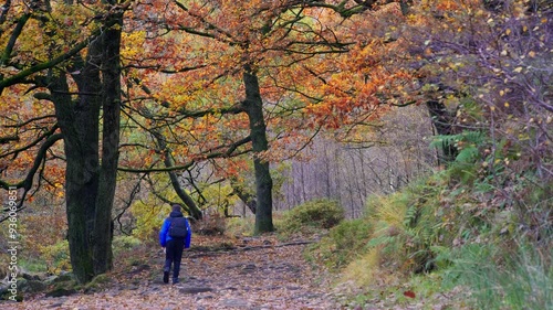 A young boy, with backpack camera and tripod in hand, walking through a tranquil autumn-winter woodland with a meandering stream. Outdoor photography.