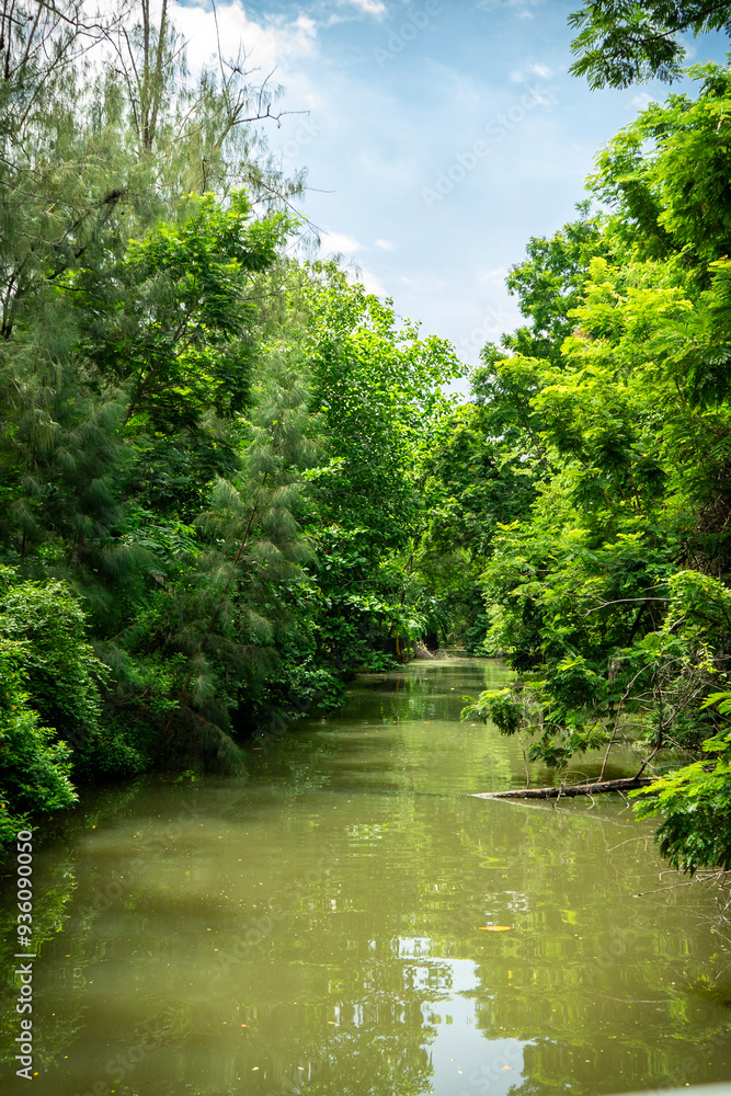 View of the river and sky in the green forest View of the river and sky in the green forest