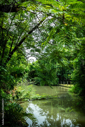 River in the forest in a park in Bangkok