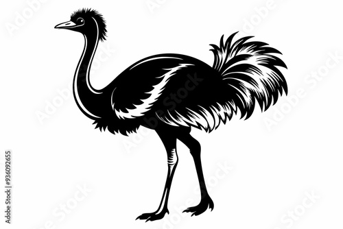 ostrich silhouette vector illustration