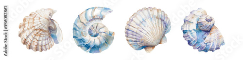 Set of colorful sea shells. Vector flat illustration Colorful sea shell watercolor paint. Collection of sea shells tropical beach shells