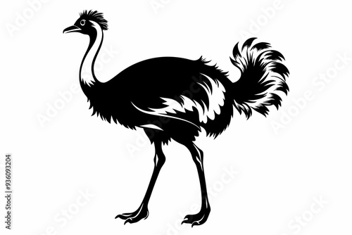 ostrich silhouette vector illustration photo