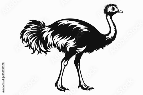 ostrich silhouette vector illustration photo