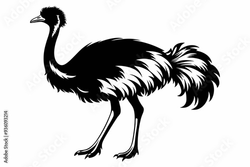 ostrich silhouette vector illustration