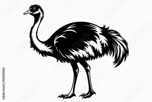 ostrich silhouette vector illustration