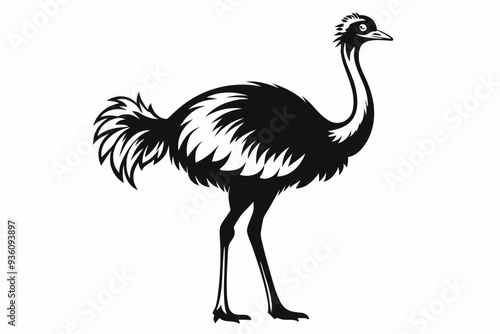 ostrich silhouette vector illustration photo