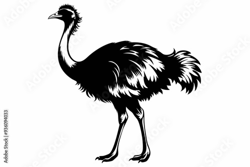 ostrich silhouette vector illustration