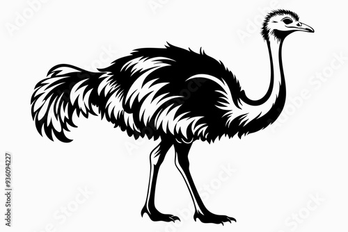 ostrich silhouette vector illustration