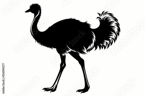 ostrich silhouette vector illustration photo