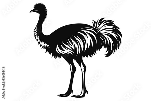 ostrich silhouette vector illustration