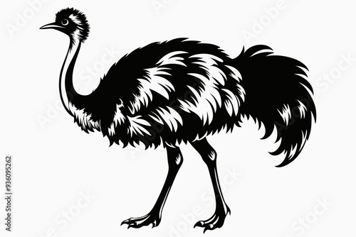 ostrich silhouette vector illustration