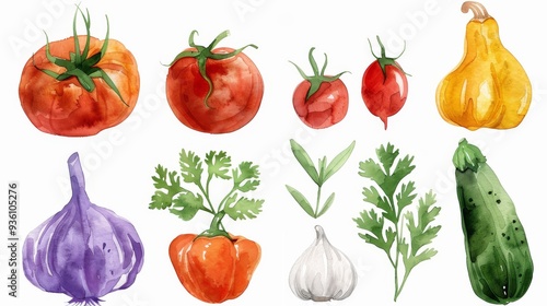 Collection of watercolor fresh herbs and spices on white background