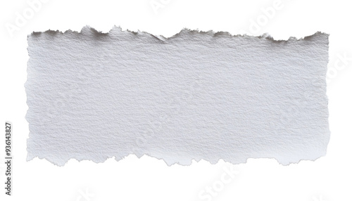 white paper torn isolated on transparent background cutout