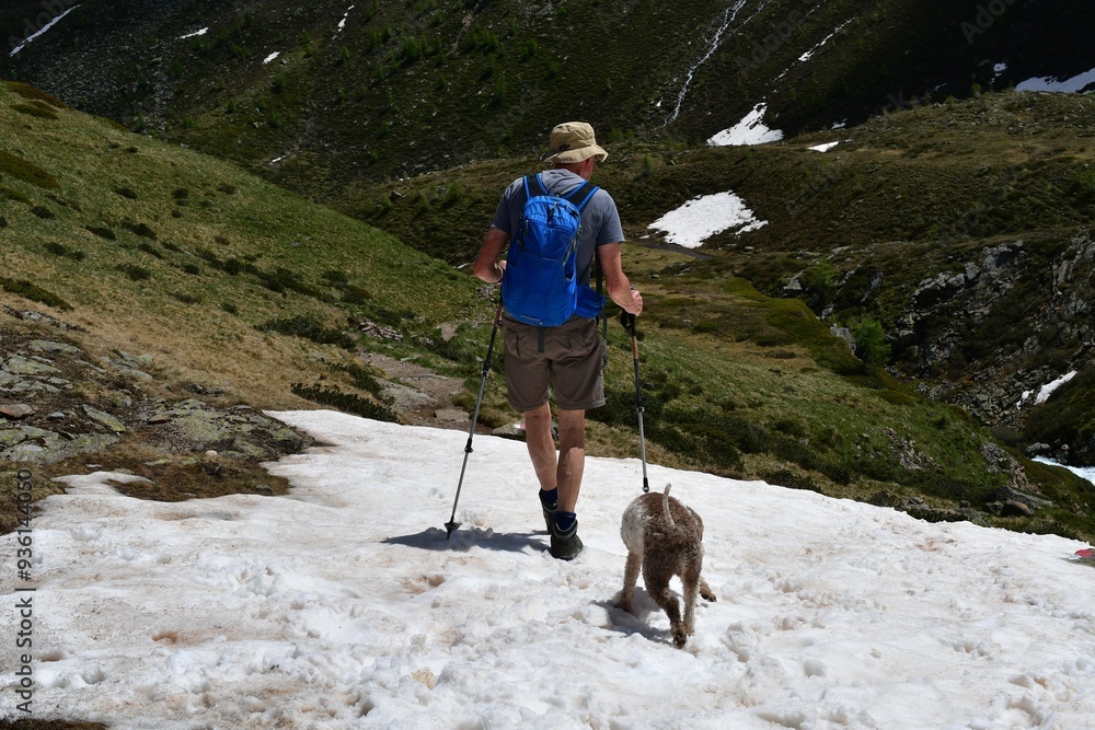 Mann und sein Lagotto Romagnolo Hund wandern im Ultental in Südtirol