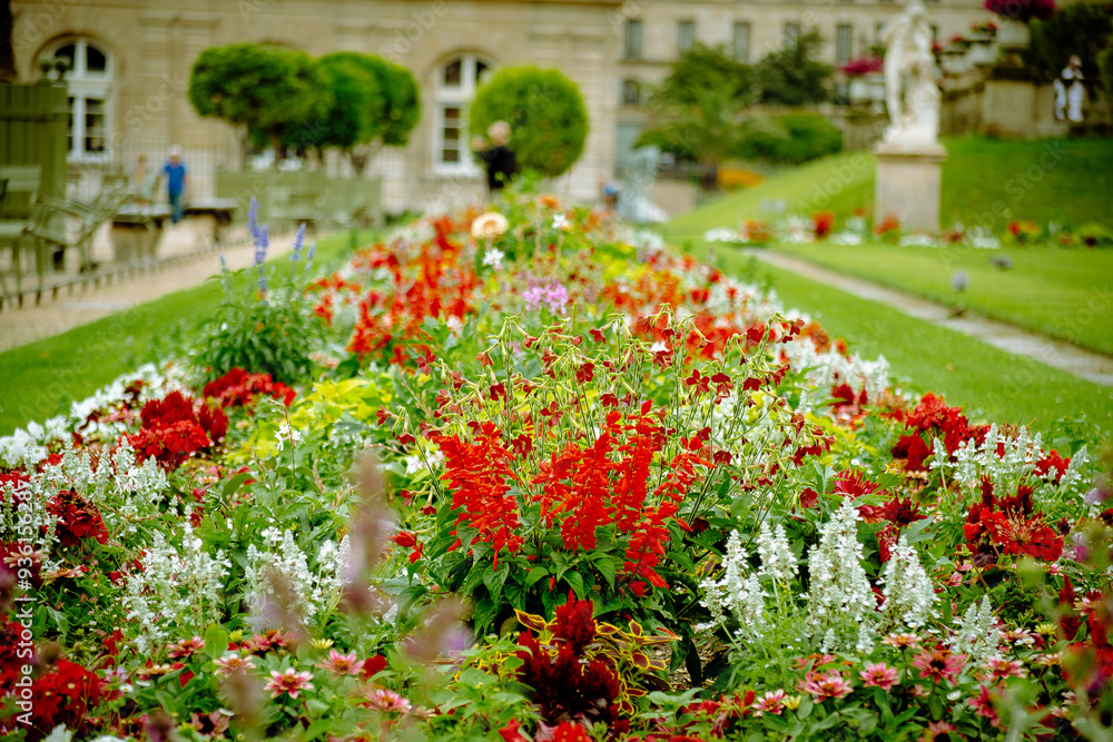 Obraz premium Flores