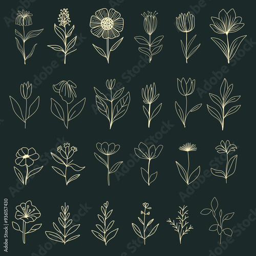 Botanical sets of different flower shapes. Luxury vintage flower collections for wedding invitations, wallpaper art or invitation design needs. Botanical vector illustration