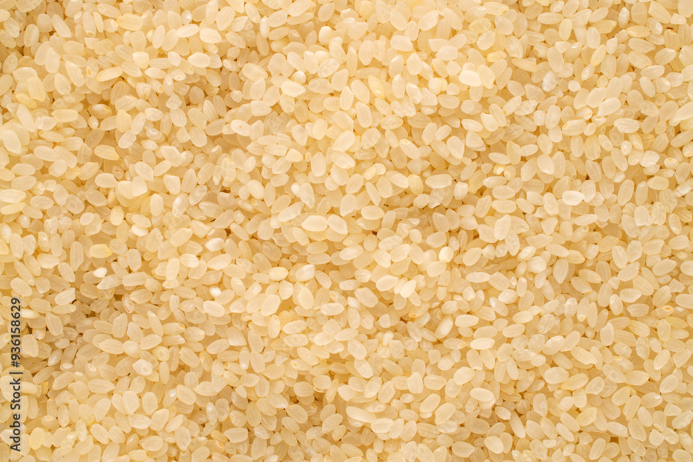 Round grain uncooked rice, macro, top view. Round grain uncooked rice, macro, top view.