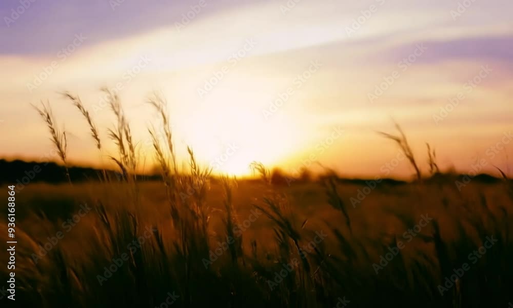 Tranquil 3d landscape at sunset with swaying tall grass Tranquil 3d landscape at sunset with swaying tall grass