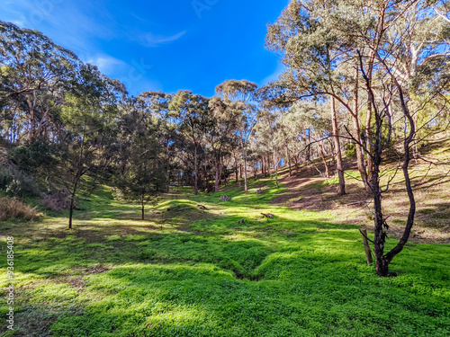 Bilde på lerret Plenty Gorge Parklands in Australia
