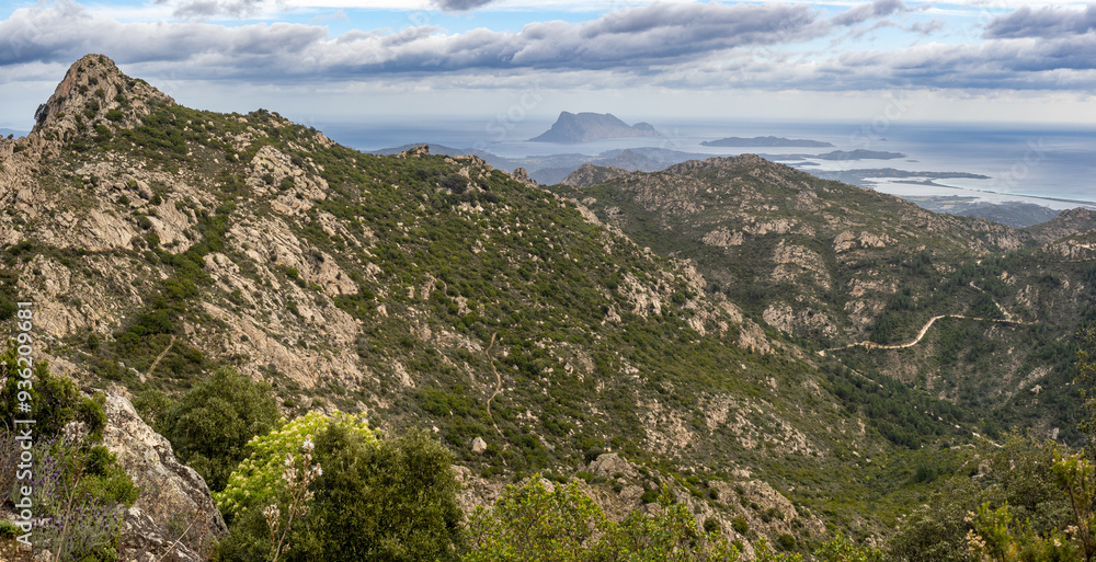 Fototapeta premium Views of fields from Monte Nieddu, Sardinia island