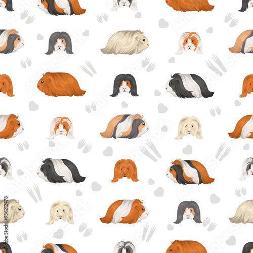 Silkie Guinea pig seamless pattern. Sheltie Cavy All coat colors cavies set. Small Pet Rodents. Vector illustration
