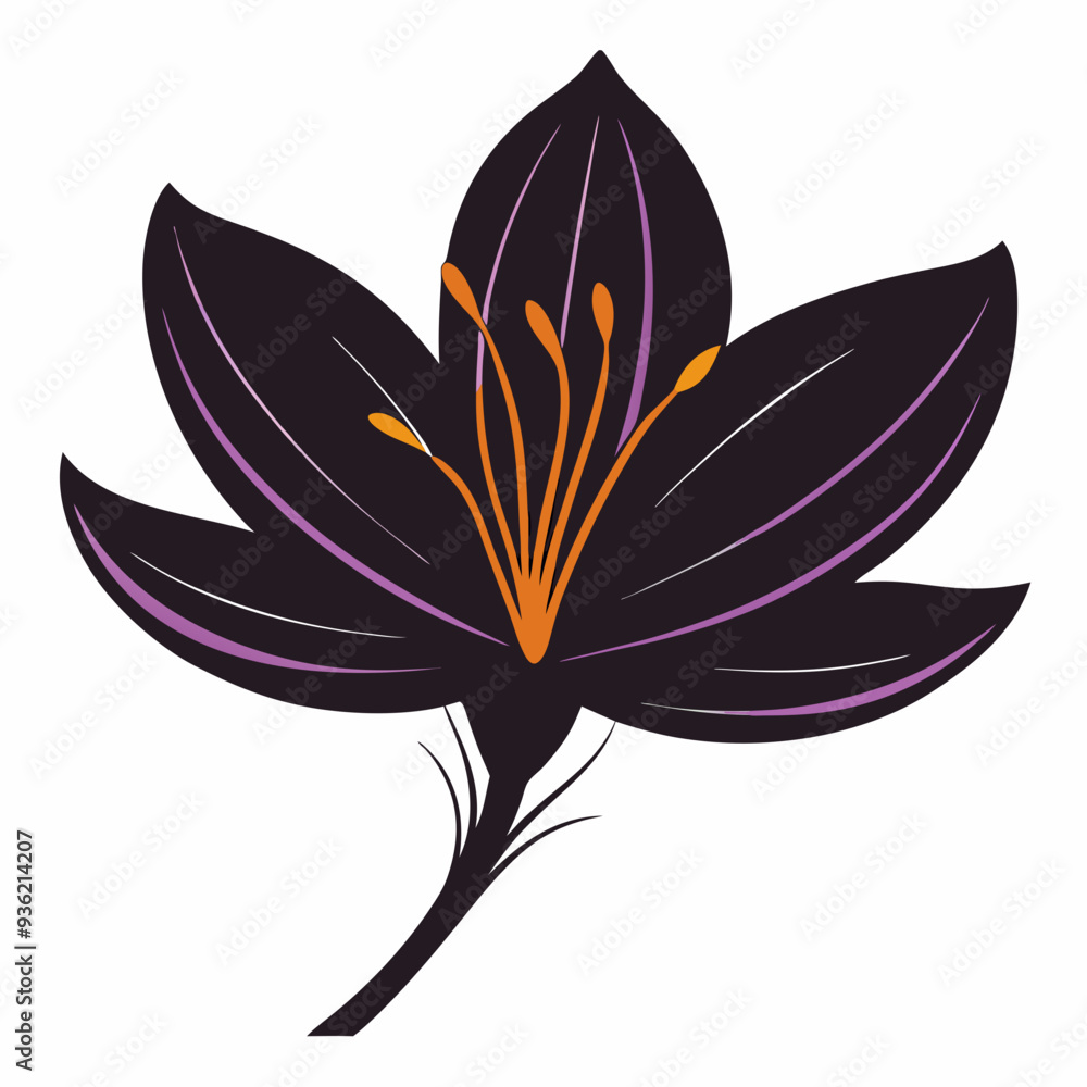 Fototapeta premium Saffron Black silhouette