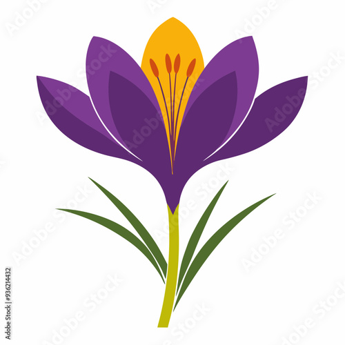 Saffron Black silhouette