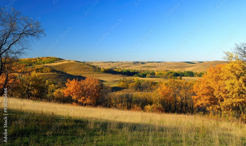 Peaceful autumn view, rolling hills, golden leaves, blue sky Peaceful autumn view, rolling hills, golden leaves, blue sky
