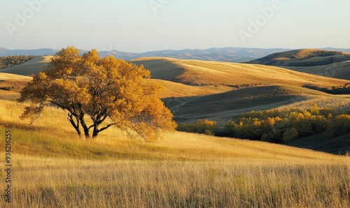 Autumn landscape, rolling hills, golden trees