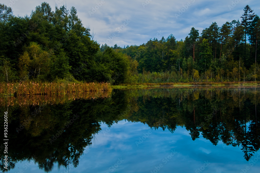 Pond in the middle of the forest during a cloudy sunrise Pond in the middle of the forest during a cloudy sunrise