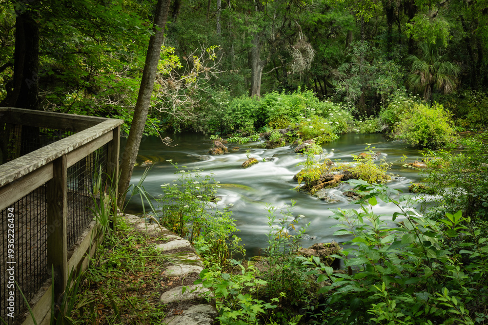 Obraz premium Hillsboro River State Park Tampa Florida landscape water flowing HDR. Long exposure rocks in the Hillsboro River Tampa Florida. Class II Rapids on the Hillsborough River. The scenic Hillsborough River
