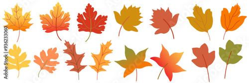 color isolated cute character autumn leaves cartoon vector illustration. element for logo sticker poster print mascot design decor backgrounds