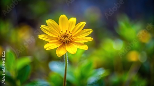 Yellow wildflower blooming in natural habitat, yellow, blooming, flower, nature, wild, plant, spring, vibrant, outdoors, sunny