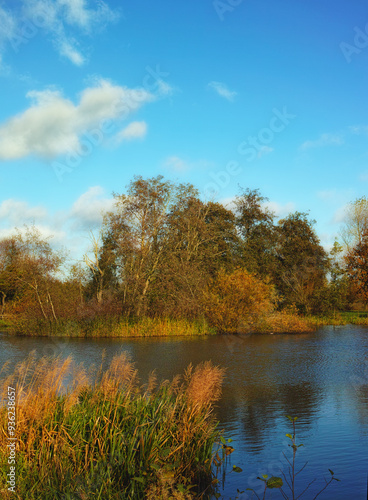 River, nature and trees on blue sky with outdoor environment for countryside travel on water. Green, landscape and forest on lake for calm morning with sustainability for climate change development