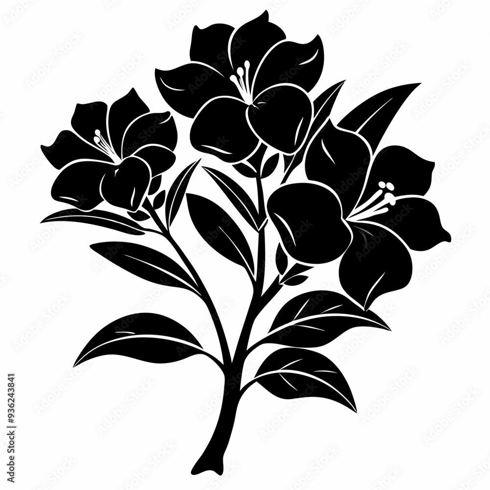 Oleander Black silhouette Oleander Black silhouette