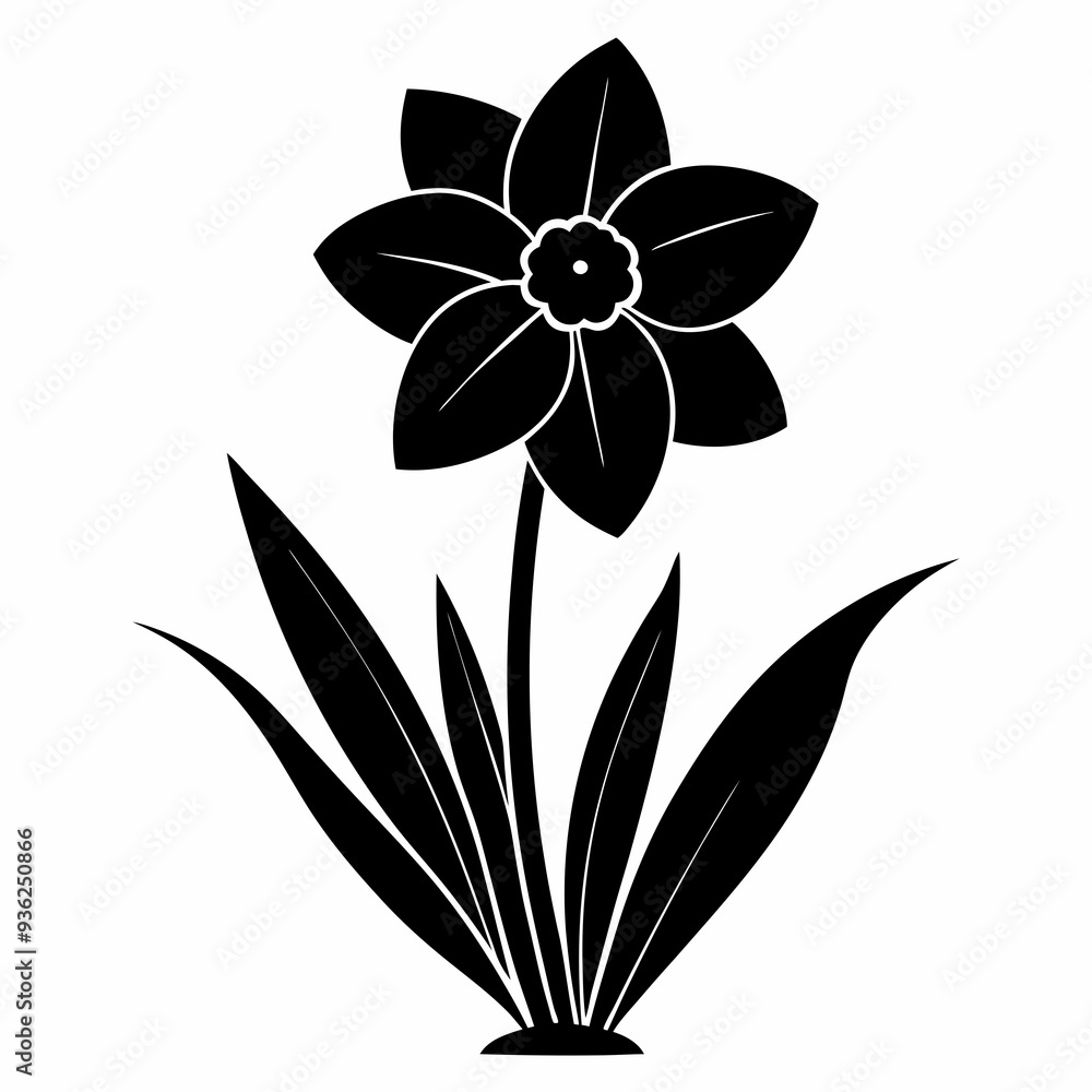 Obraz premium Narcissus Black silhouette