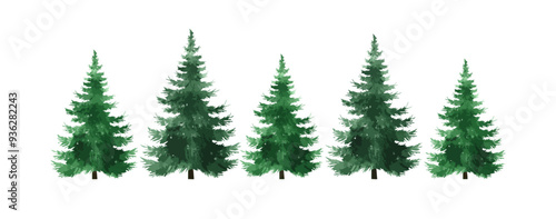 Christmas tree watercolor isolated on white background, Set of greenery Christmas pine tree watercolor vector illustration